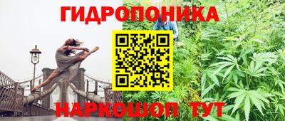 прущие крисы Рыбинск