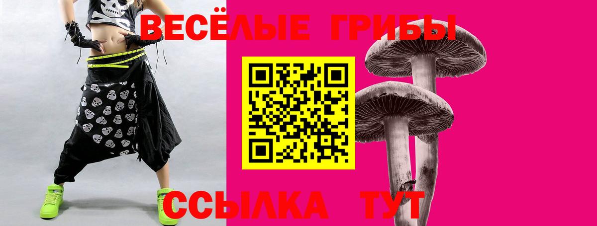 Саяногорск  Галлюциногенные грибы Psilocybine cubensis  Вход с VPN  Псилоцибиновые грибы прущие грибы 